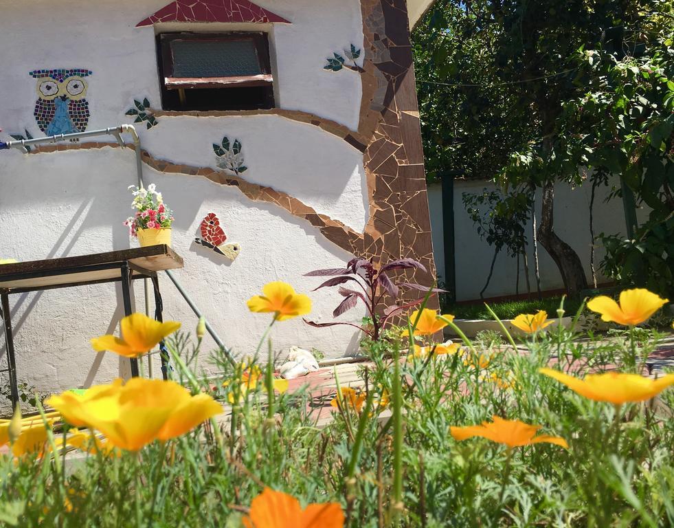 Pink Guest House Obzor Extérieur photo